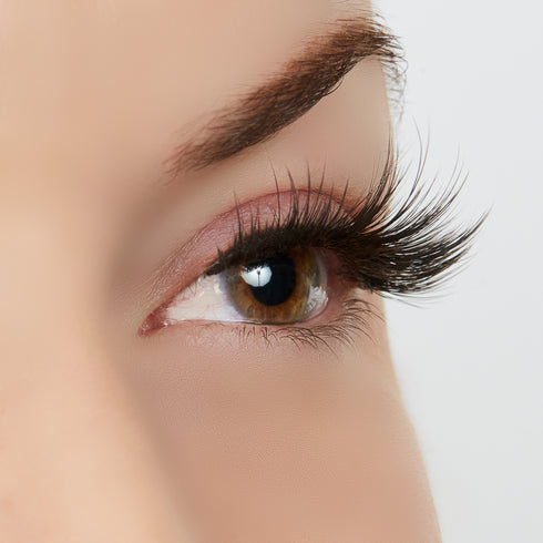 A Touch of Heaven Lash Style & Aloe Infused Glue Bundle - 25x Wear by True Beauty Lashes